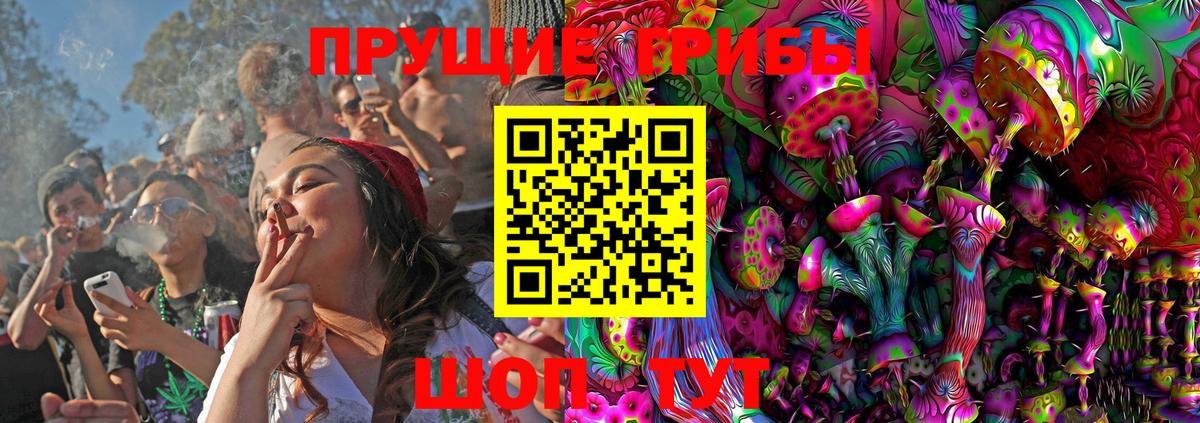Моздок  Псилоцибиновые грибы Psilocybe  Вход с VPN  Псилоцибиновые грибы GOLDEN TEACHER 